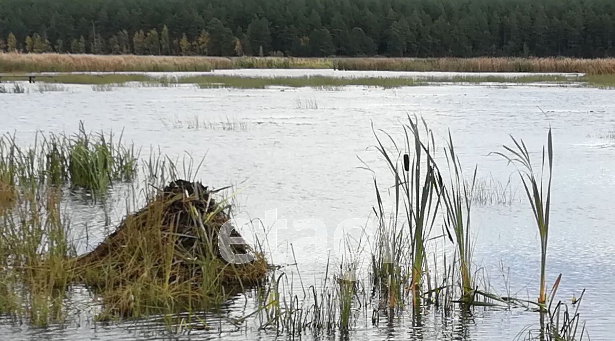 дом р-н Пригородный п Висим ул Парижской Коммуны фото 10