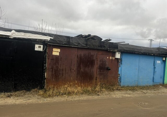 Тюменская обл. фото