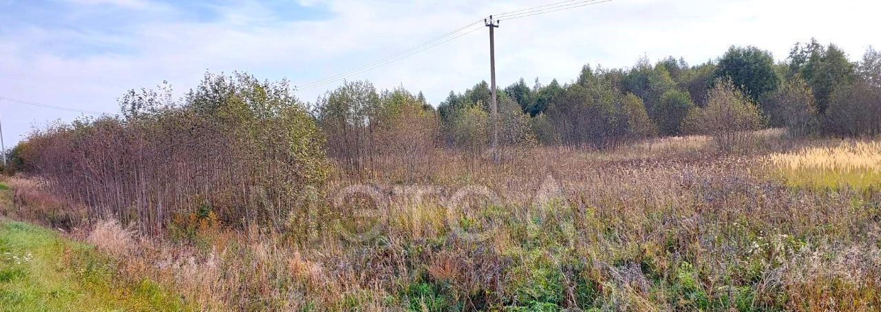 офис городской округ Шаховская д Воскресенское фото 3