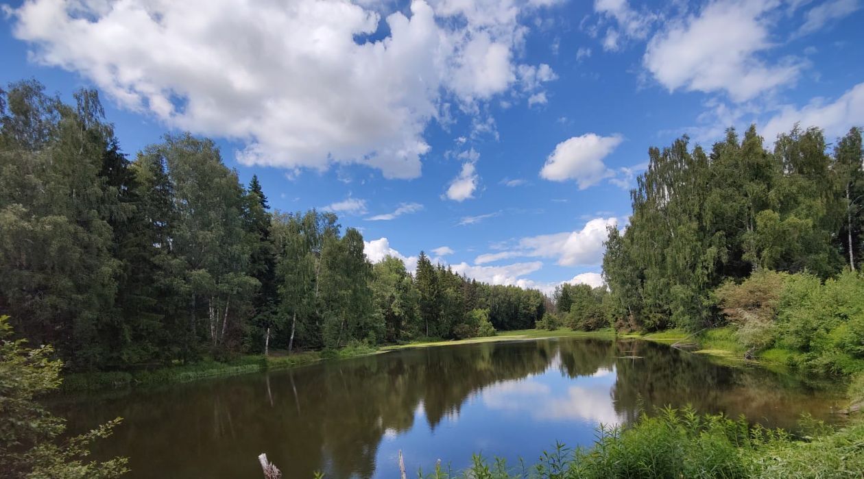 дом городской округ Наро-Фоминский д Иневка фото 4