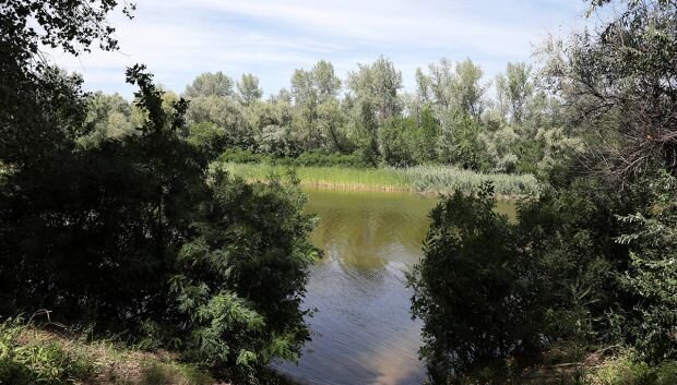 земля р-н Среднеахтубинский Кировское сельское поселение, Волжский фото 1