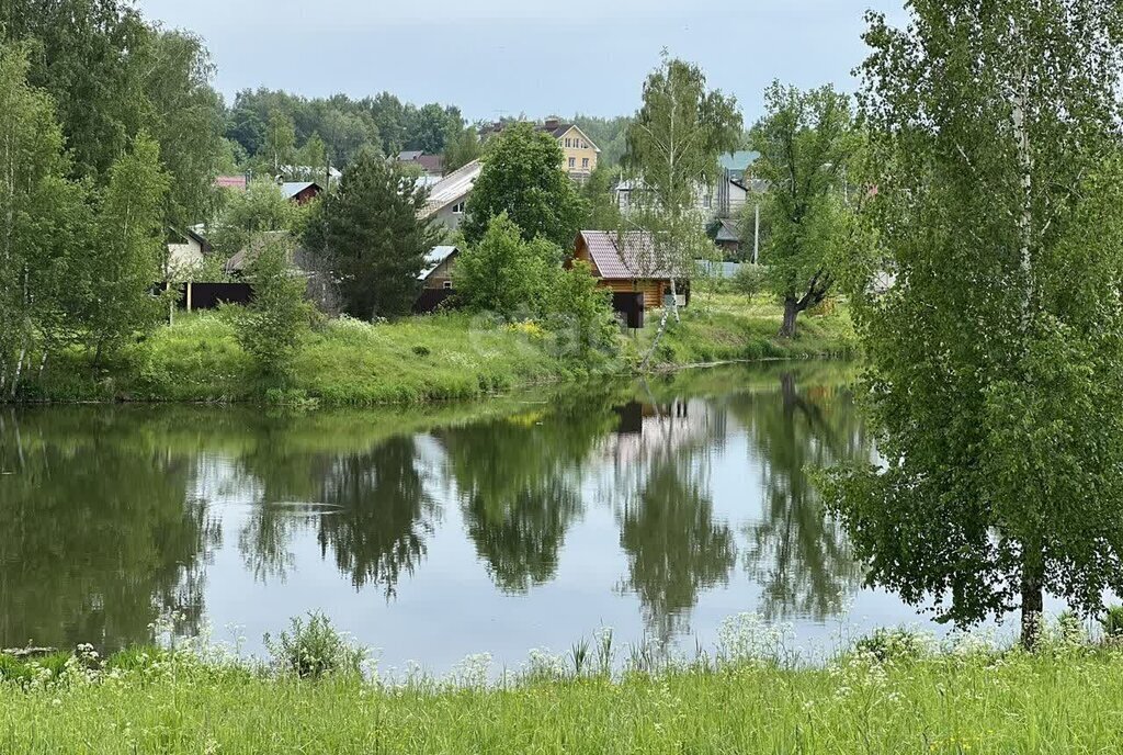 земля р-н Богородский д Инютино фото 10