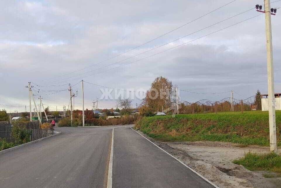 земля р-н Новосибирский с Криводановка ул Шоссейная Криводановский сельсовет фото 5