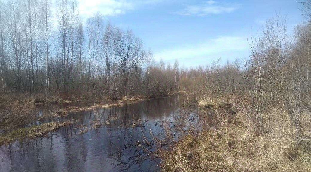 земля р-н Череповецкий д Ягница ул Центральная Уломское с/пос фото 4