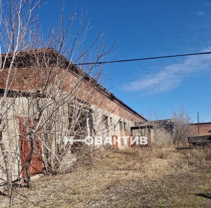 производственные, складские р-н Каргатский г Каргат ул Советская 4 городское поселение Каргат фото 3