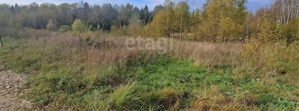 земля городской округ Дмитровский п Андрейково фото 9