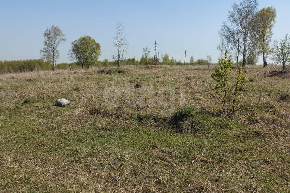 земля р-н Новокузнецкий Кемеровская область — Кузбасс, посёлок Новый фото 3