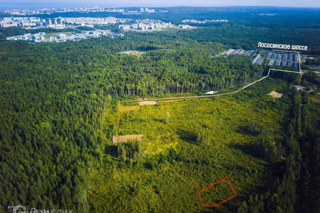 Древлянка Петрозаводский городской округ, Древлянка фото