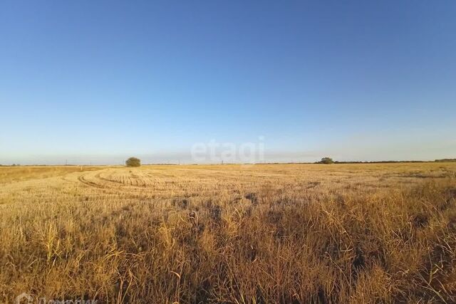 р-н Прикубанский проезд им. Нестерова 52 городской округ Краснодар фото