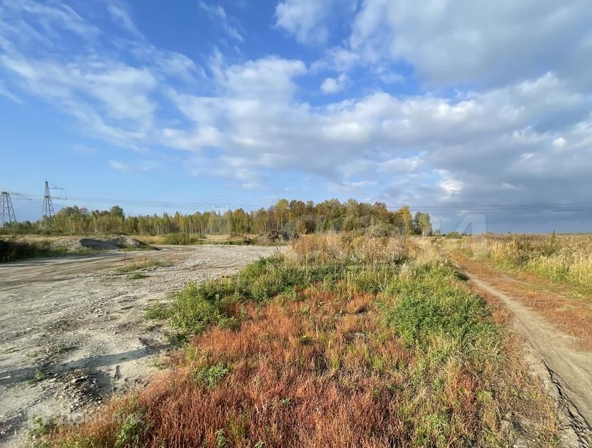 земля г Тюмень городской округ Тюмень, Центральный фото 1