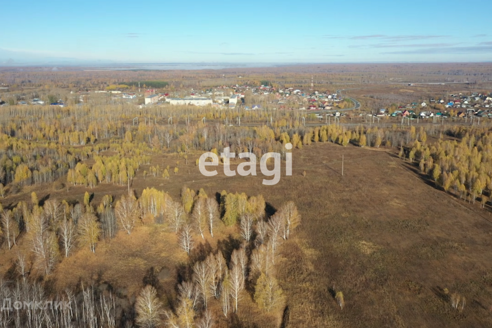 земля р-н Новосибирский фото 2