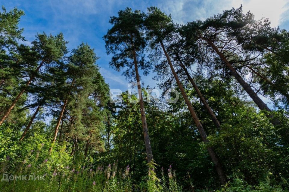 земля городской округ Истра Павловский лес фото 4