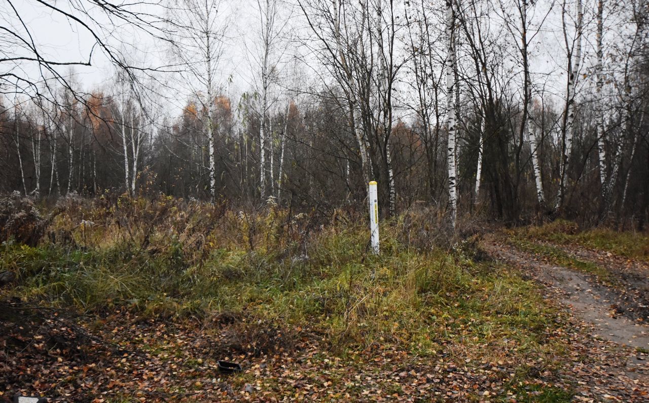 земля городской округ Раменский д Трошково ул Лесная 17 36 км, Речицы, Егорьевское шоссе фото 3