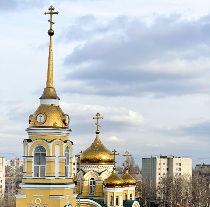 квартира г Липецк р-н Октябрьский ул П.И.Смородина 9а фото 12