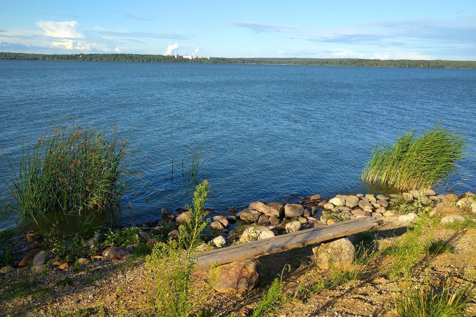 квартира г Солнечногорск ул Гражданская 14 Солнечногорск городской округ фото 5