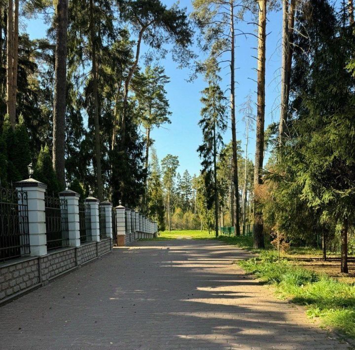 земля городской округ Красногорск д Бузланово Фермерское Хозяйство Солнышко тер., Павшино фото 34