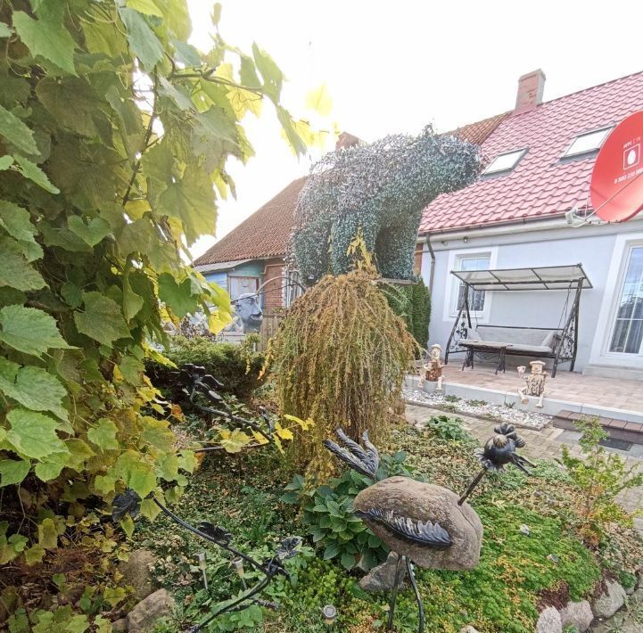 дом р-н Зеленоградский г Зеленоградск п Вишневое фото 19