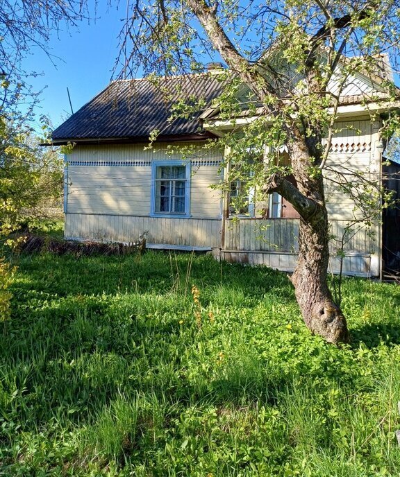 дом р-н Палкинский д Грибули ул Родовская фото 4