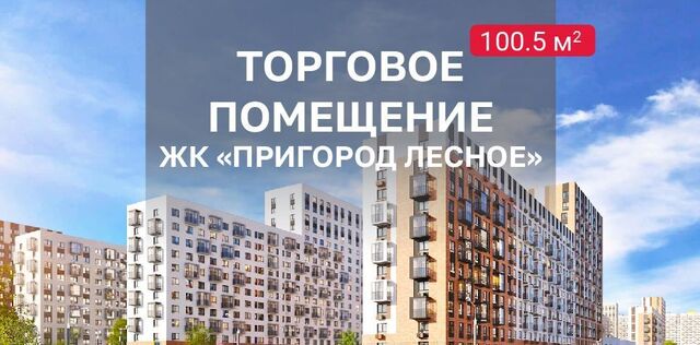 д Мисайлово ЖК «Пригород Лесное» Зябликово, к 5. 2 фото