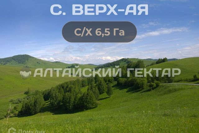 р-н Алтайский фото