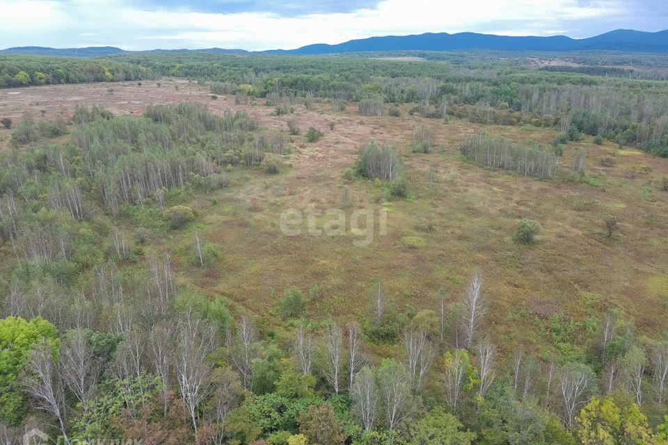 земля р-н Хабаровский село Корсаково-2 фото 3