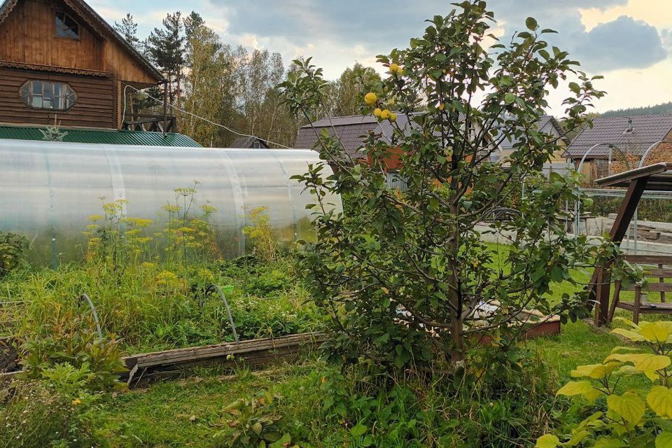 дом Полевской городской округ, потребительское общество Красная Гора-2, улица Солнечная, 40 фото 3