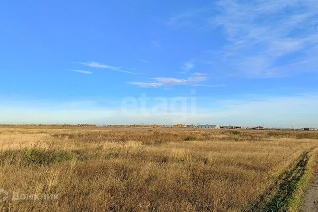 тракт Тобольский городской округ Тюмень фото