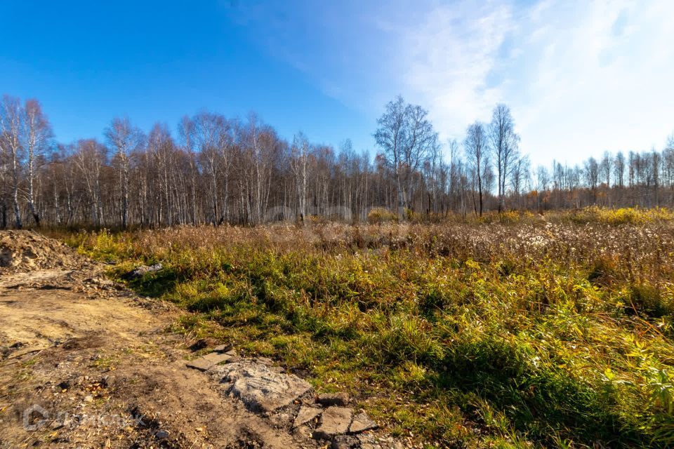 земля г Тюмень снт Облепиховое ул Малиновая фото 3