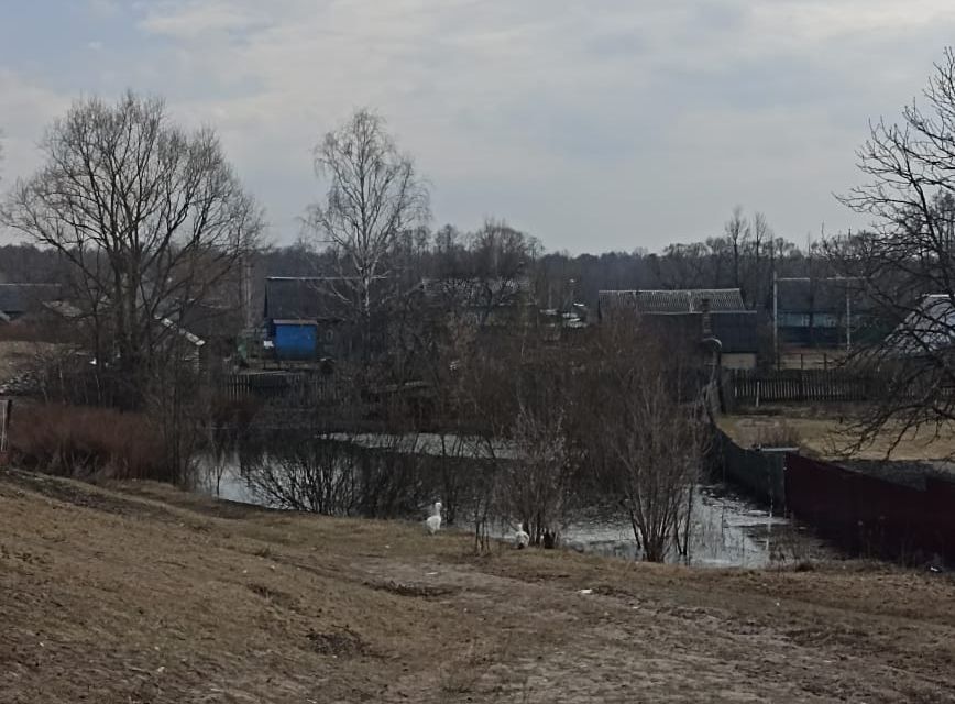 земля р-н Навлинский п Навля ул Дуси Рябых Навлинское городское поселение фото 3