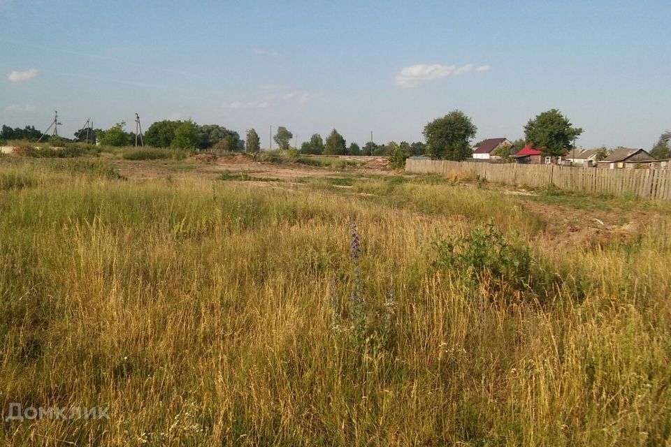 земля р-н Навлинский д Селище ул Луговая фото 2