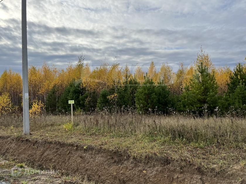 земля р-н Тюменский с Кулига ул Заречная 35б фото 2