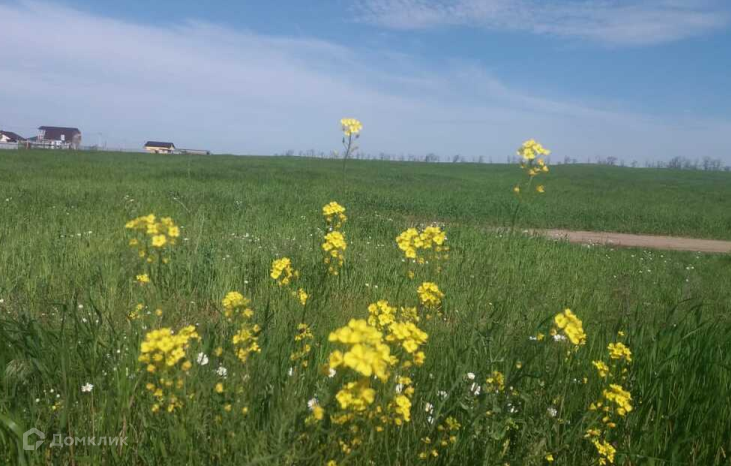 земля р-н Волжский посёлок городского типа Петра Дубрава фото 3