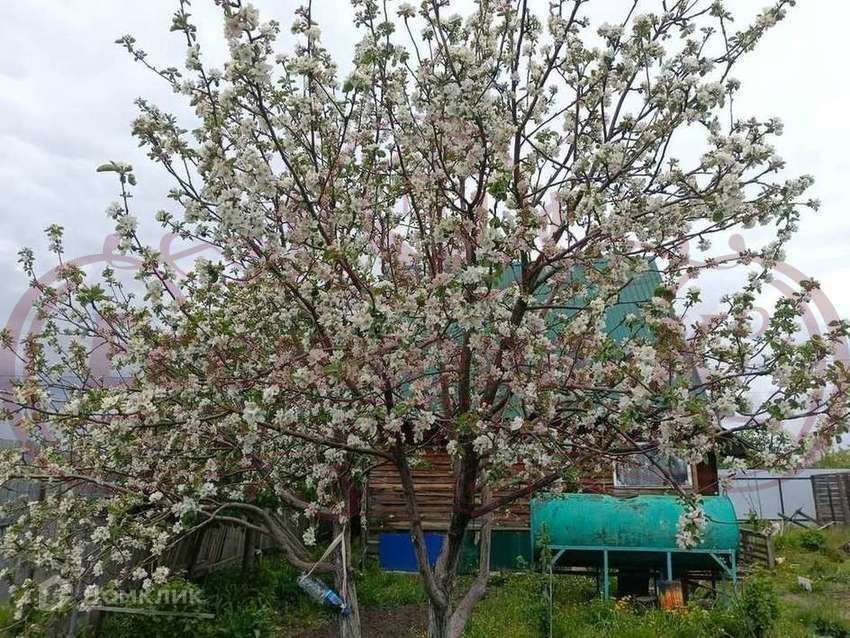 дом г Курган городской округ Курган, СНТ Земляничная поляна фото 7