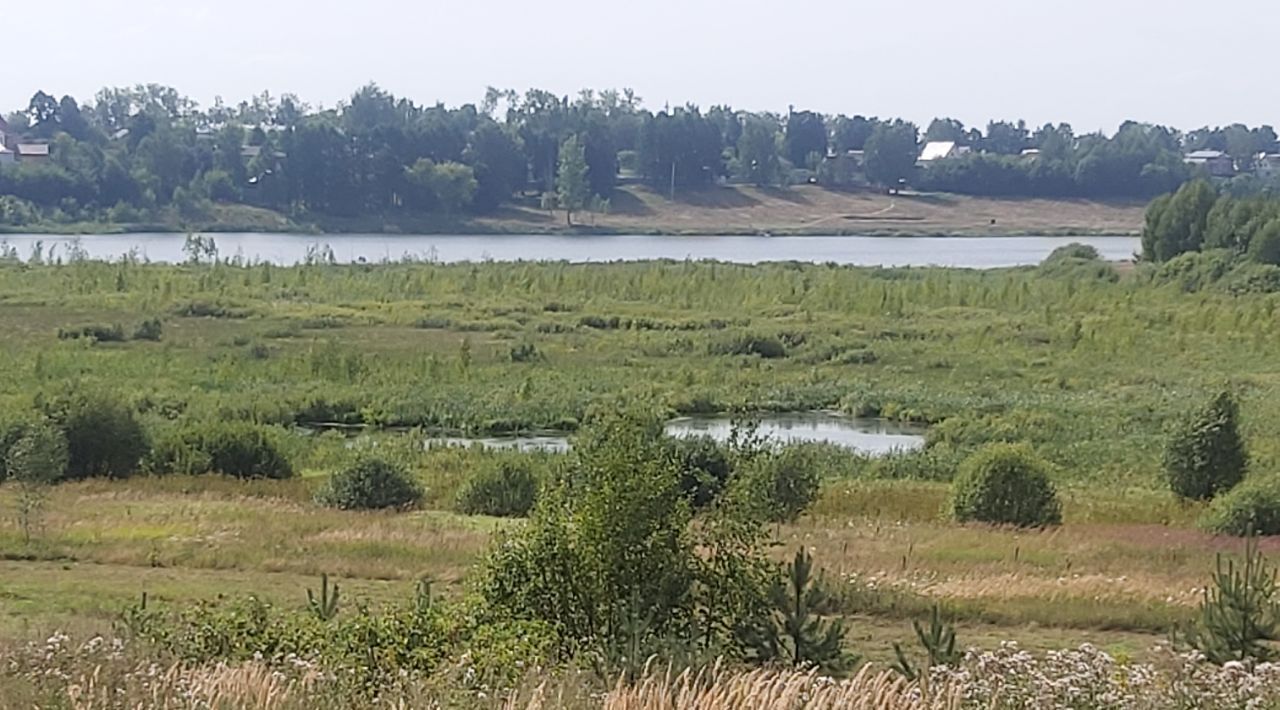 земля р-н Александровский г Александров ул Большая Петровская городское поселение Александров фото 28