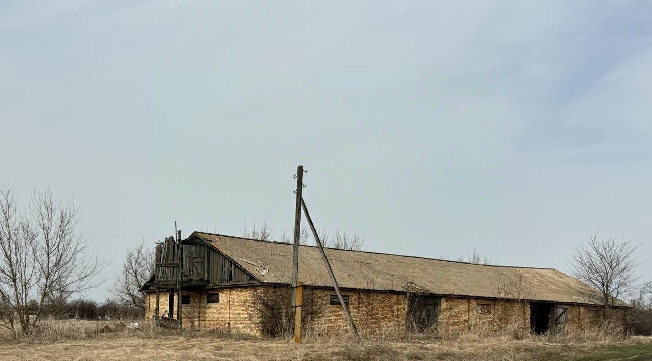 офис р-н Балашовский с Лесное Лесновское сельское поселение фото 7