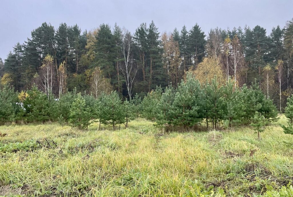 дом г Воскресенск тер ТСН Солнышко 20, городской округ Серпухов фото 2