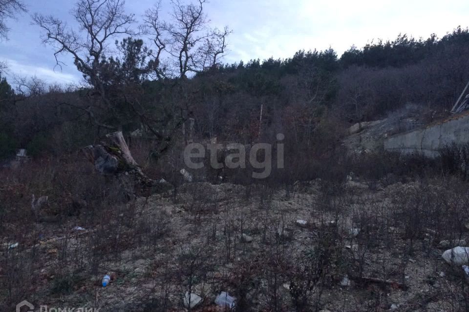 земля г Геленджик Геленджик городской округ, СТ Голубая долина фото 4