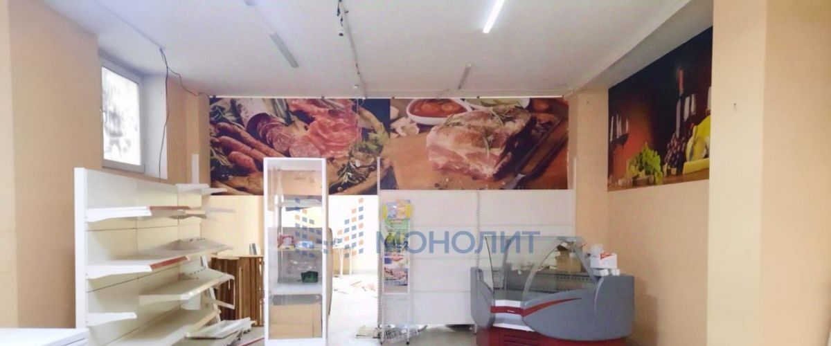свободного назначения г Нижний Новгород Стрелка ул Сергея Акимова фото 3
