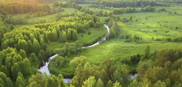 Кулебаки фото