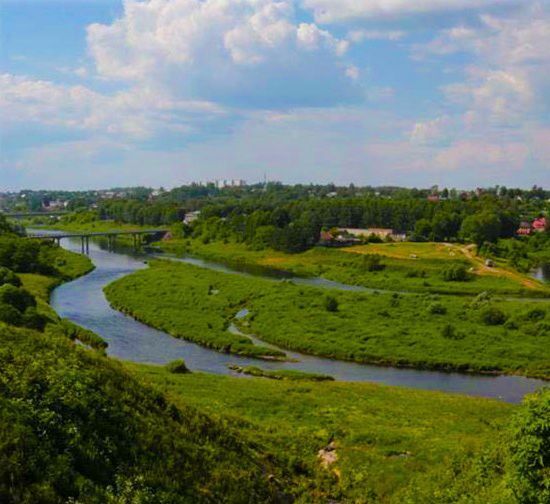 земля р-н Зубцовский д Крюково фото 3