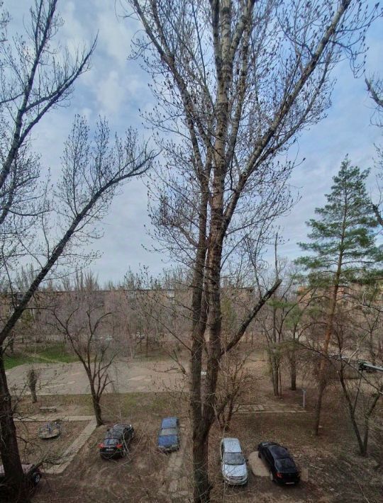 квартира г Волжский ул Горького 17 фото 18