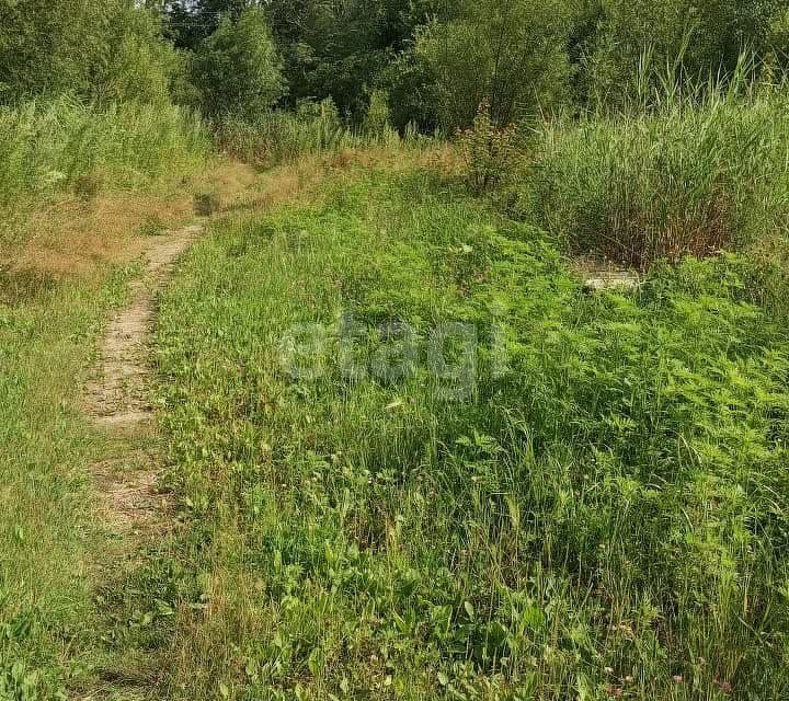 земля р-н Хабаровский село Корсаково-1 фото 7