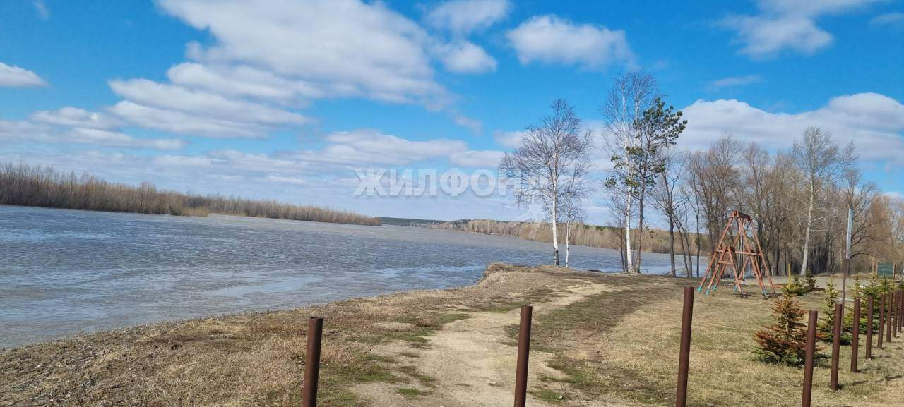 дом р-н Ордынский с Красный Яр ул Рябиновая Красноярский сельсовет фото 13