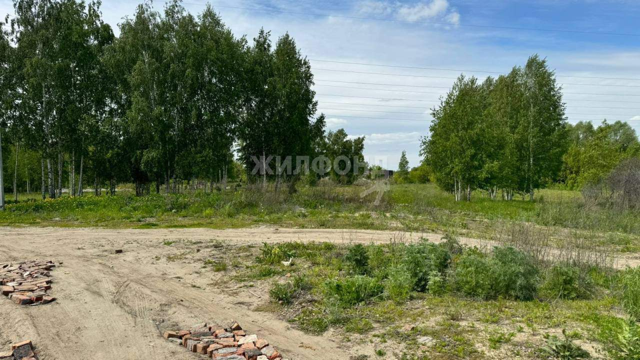 земля г Новосибирск р-н Калининский Пашино ул Ясеневая Заельцовская фото 6