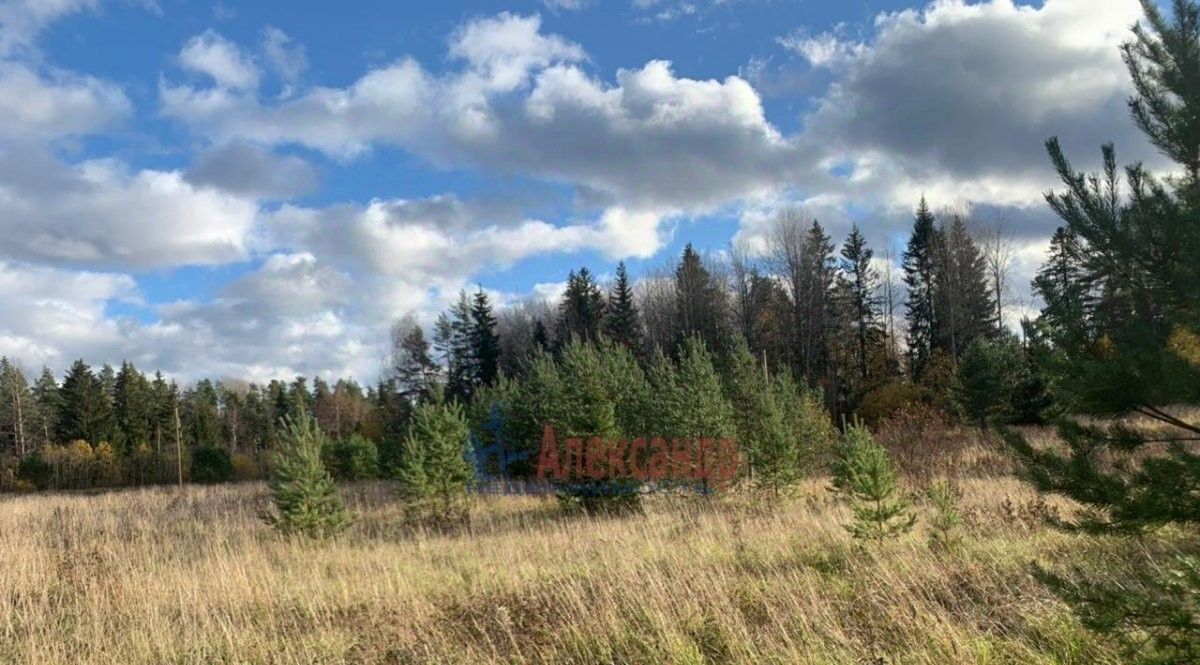 земля р-н Выборгский д Лосево Светогорское городское поселение фото 8