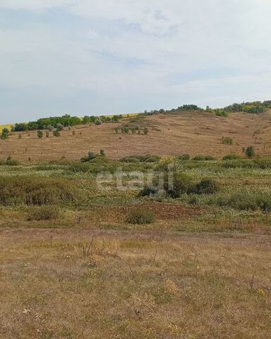 ул Центральная Новый Оскол фото