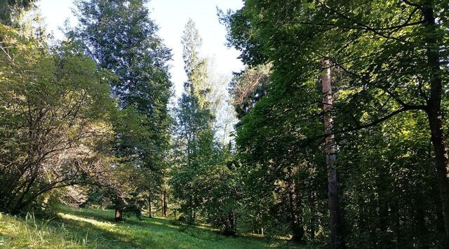 городской округ Одинцовский п Мозжинка фото