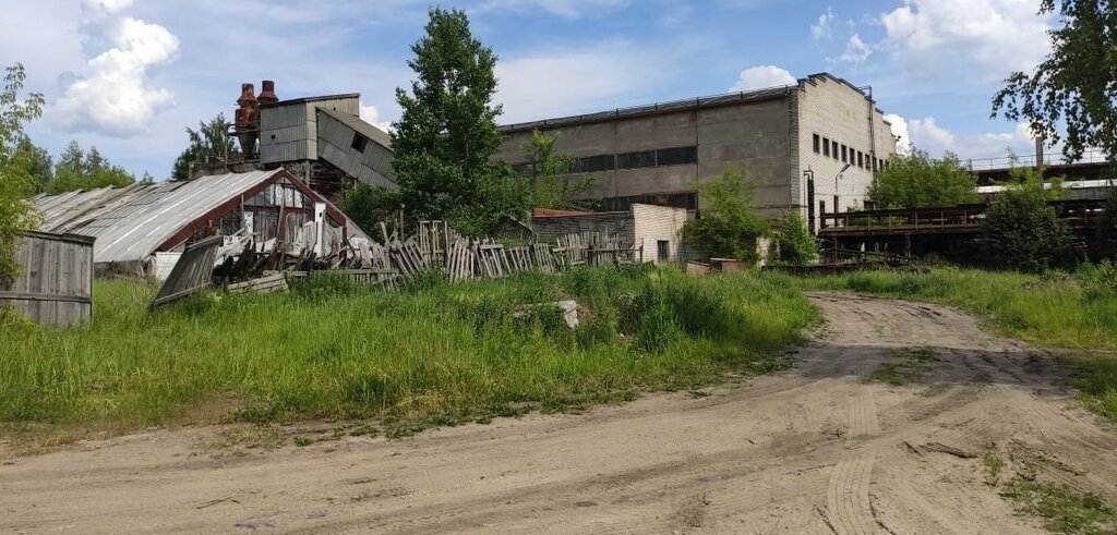 офис городской посёлок Павлово, Рыбацкое, Ленинградский проспект, 7 фото 5