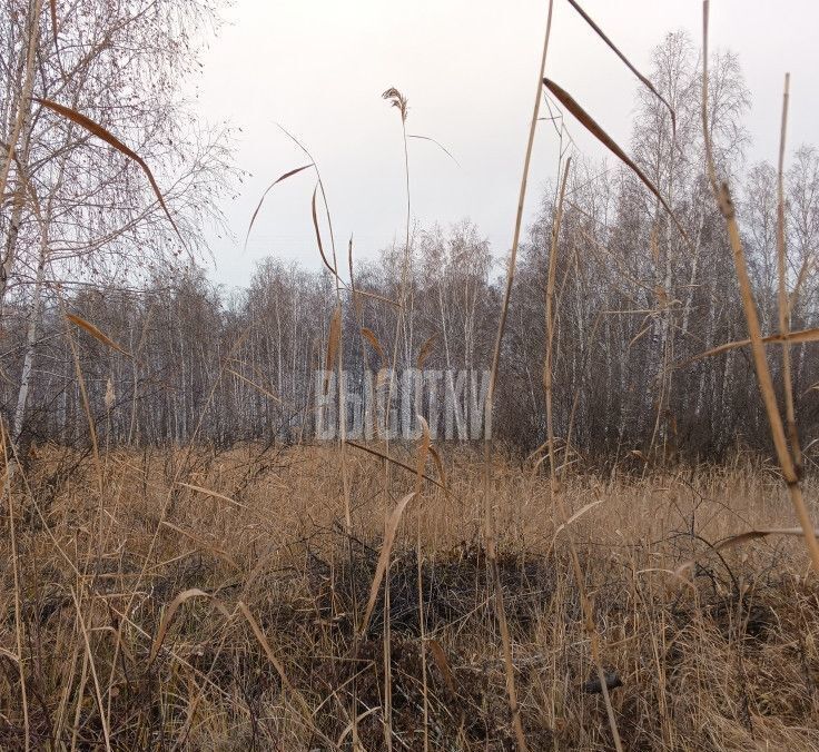 земля р-н Аргаяшский снт Тимер Дербишевское сельское поселение, 1-я ул, Долгодеревенское фото 8