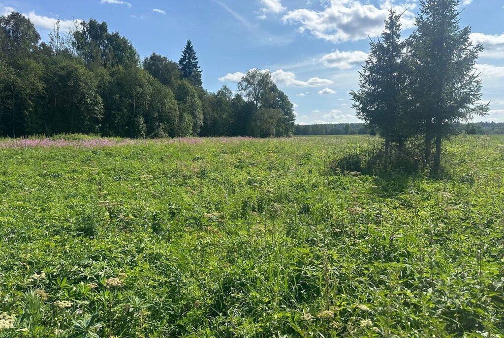 земля городской округ Клин д Вертково фото 7